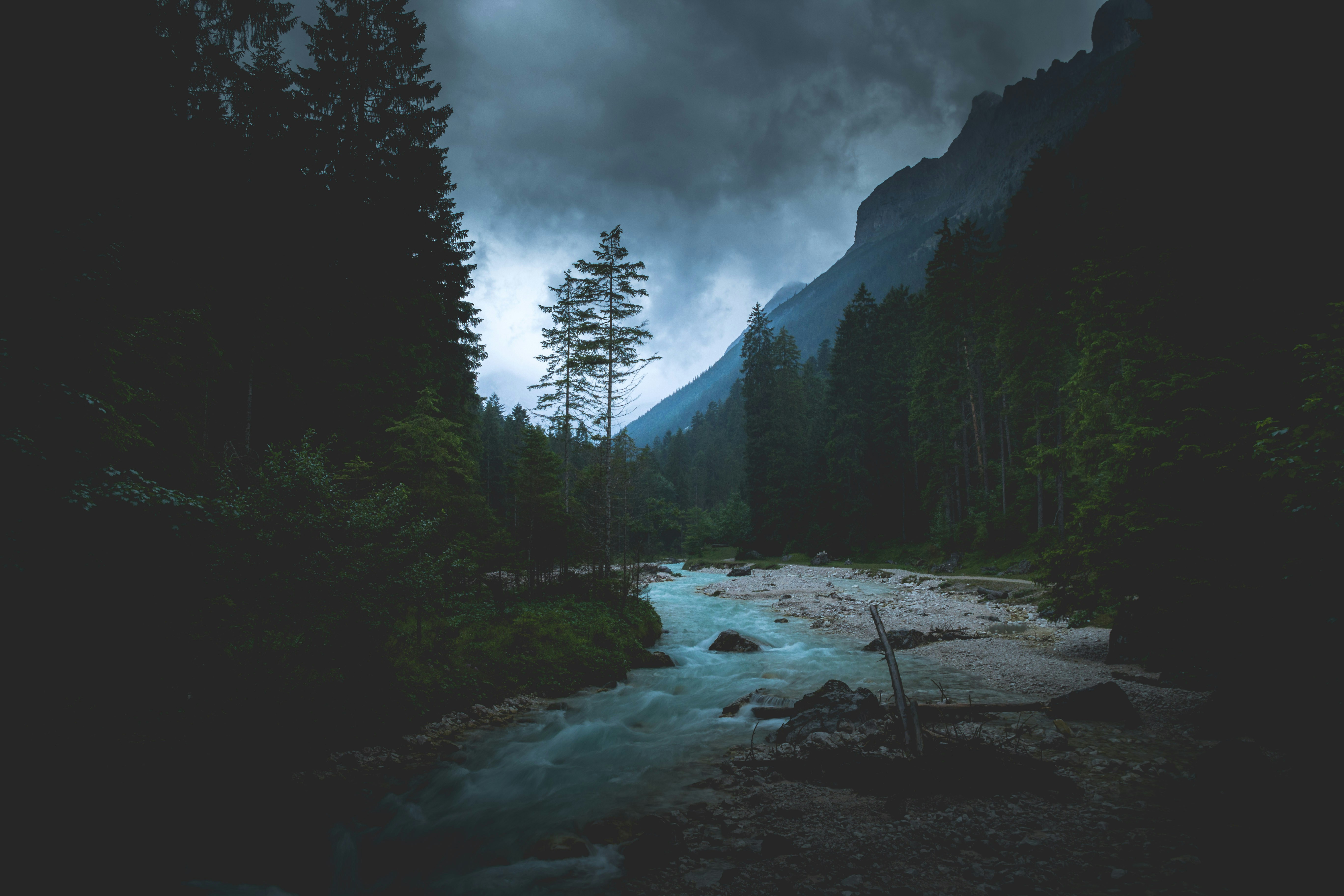 Nature 3